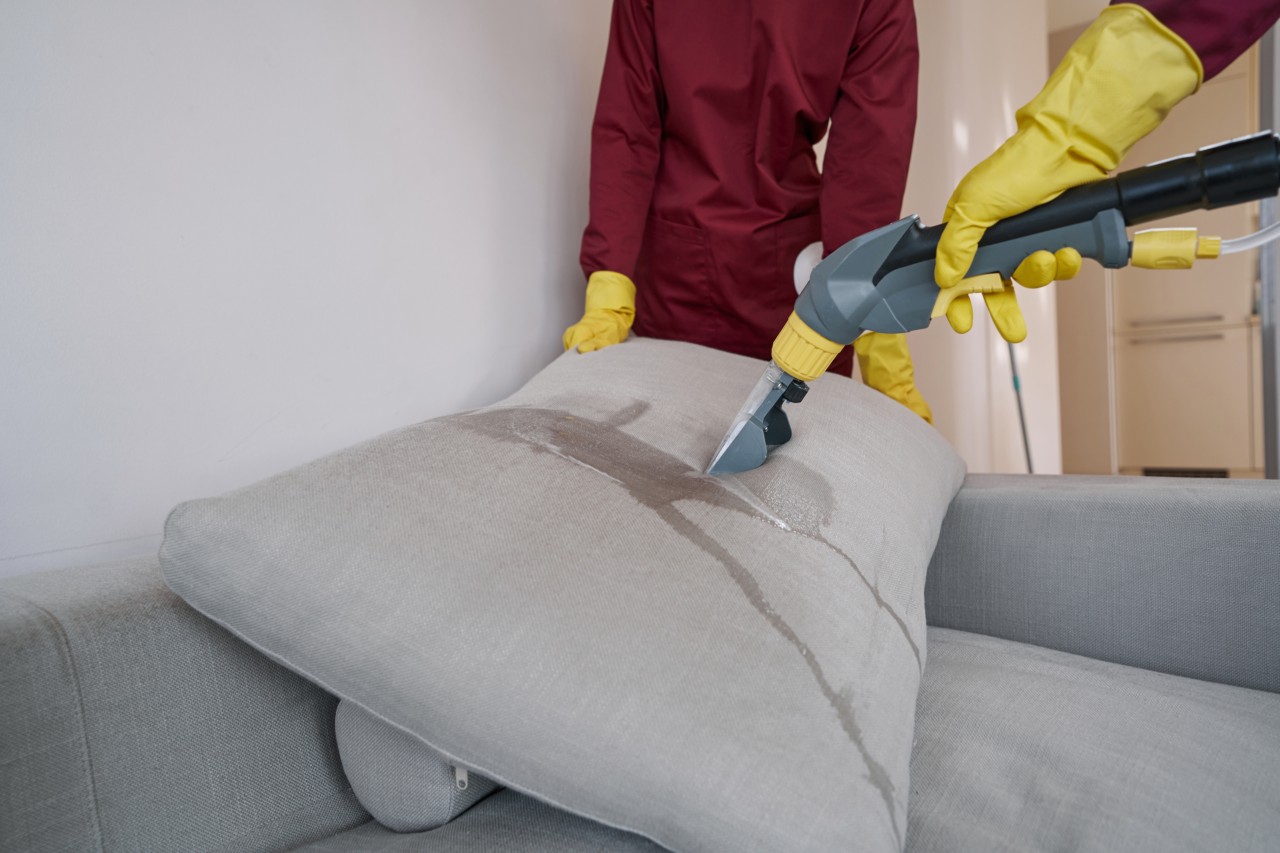 Respire melhor: a importância da higienização profissional de tapetes para sua casa